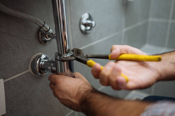 Best Commercial Plumbing Services  in Cottage Grove, WI